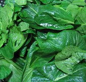 Leafy greens are an integral part of a healthy diet. Because of their green color and bitter flavor, they are especially supportive of the liver and heart.
