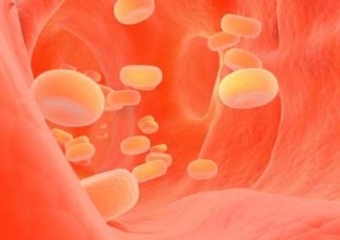 Cholesterol is a mid-sized molecule which is important for a variety of physiological functions.