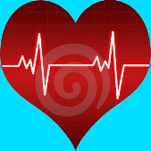 heart